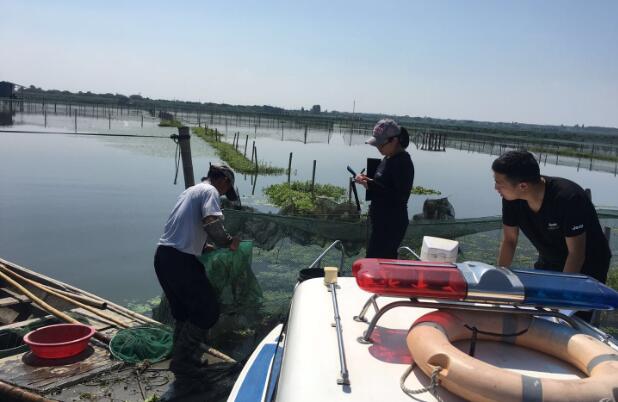 阳澄湖大闸蟹生长情况