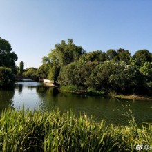 阳澄湖的夏天 ​