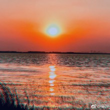 摄影人青山依旧在，  几度夕阳红…… #苏州·阳澄湖[地点]# ​