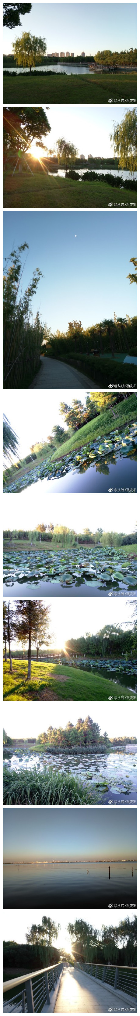 一草一花 一树一木 走过了春秋冬夏 清晨一缕阳光 唤醒了沉睡的心灵 映红了平静的湖面 【晨跑随拍阳澄湖生态体育公园】 ​