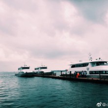 停电 暴雨 小岛  一群人 等雨停 不一样的九月间 ———阳澄湖之团建