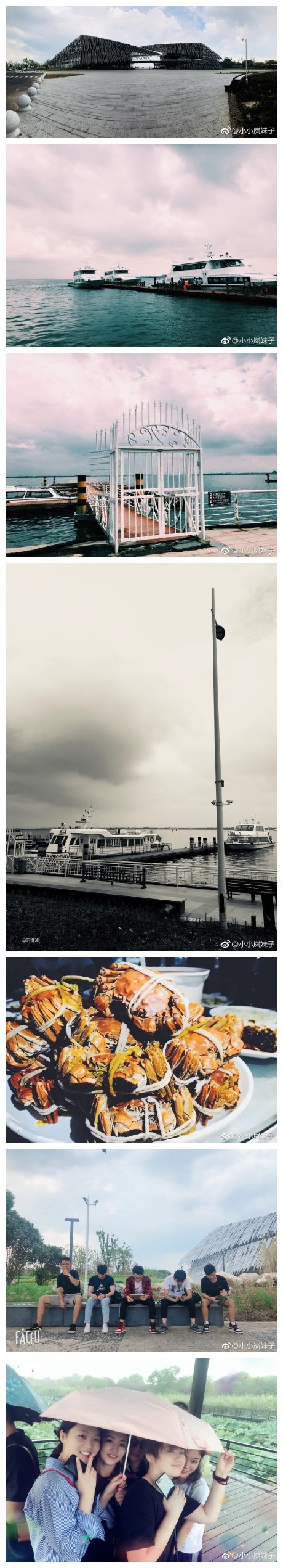 停电 暴雨 小岛  一群人 等雨停 不一样的九月间 ———阳澄湖之团建