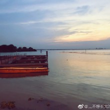 阳澄湖莲花岛今日打卡，螃蟹宝贝们威武！[爱你][爱你] 2苏州 · 阳澄湖镇 ​