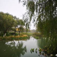 这不是梅陇镇，是下午的阳澄湖 2上海 · 梅陇镇