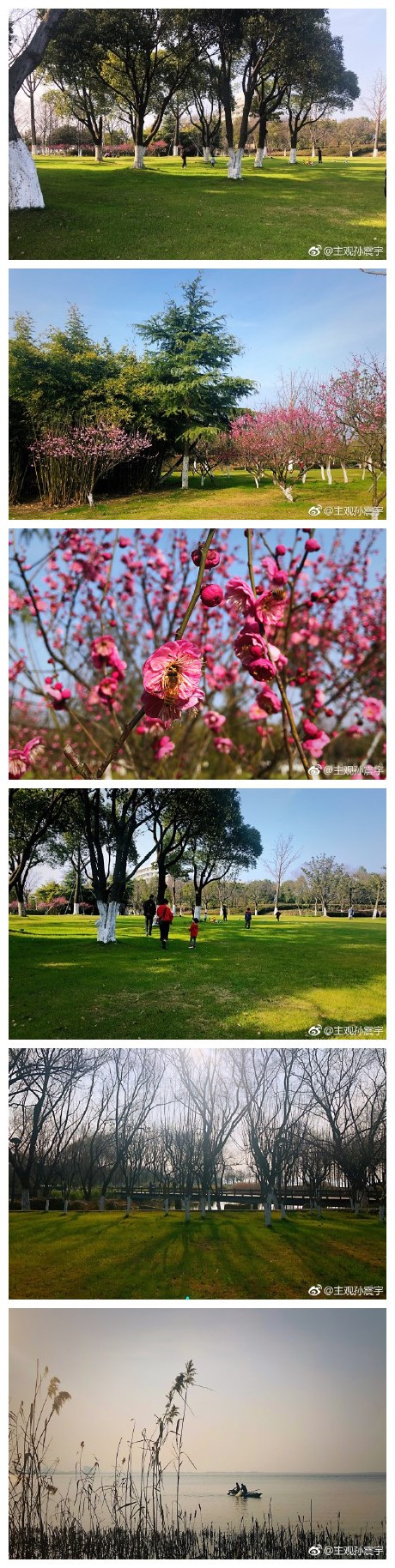 阳澄湖岸边的青草地、盛开的梅花、休闲的人们，湖里泛舟的渔人，构成了一幅美好闲适的生活图景。想一想，没几年前，这里也不过是湖边的村落、荒草地、滩涂吧。中国的农村，改变得如此快速而彻底。