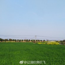 阳澄湖Ⅰ莲花岛