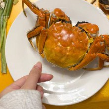 来阳澄湖吃上了阳澄湖大闸蟹