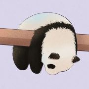 上帝的柳叶刀