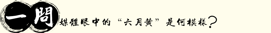 媒体眼中的“六月黄”是何模样?