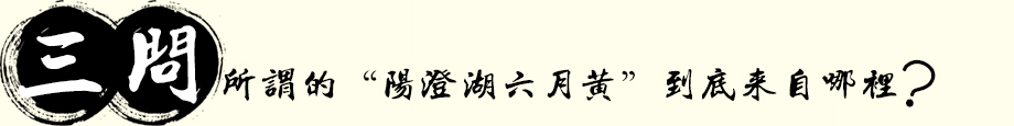 所谓的“阳澄湖六月黄”到底来自哪里?