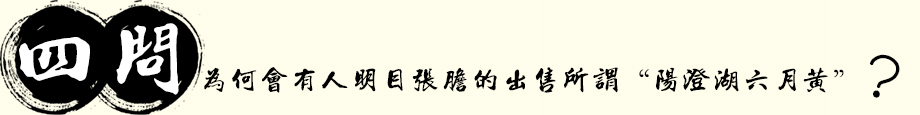 为何会有人明目张胆的出售所谓“阳澄湖六月黄”?