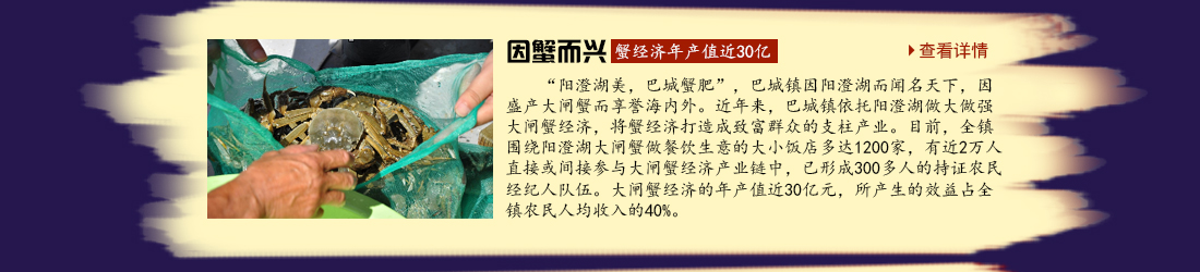 巴城旅游